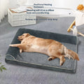 PawGlow Enclosed Winter Pet Den
