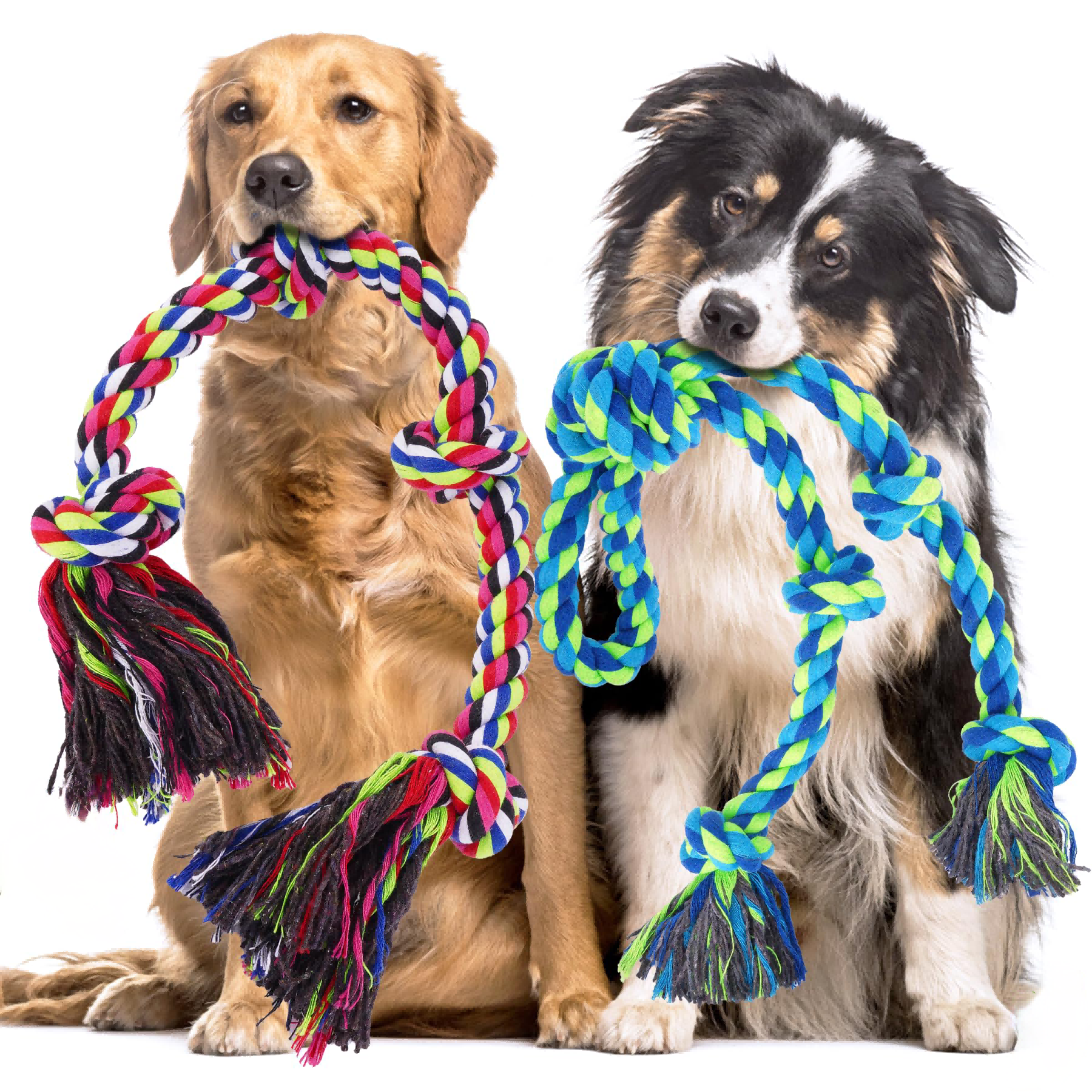 PawGlow Tug Rope Toy