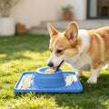 PawGlow Silicone Slow-Feed Bowl